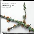 Benjamin Broening : Trembling Air