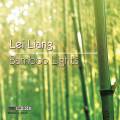 Lei Liang : Bamboo Lights. Drury.