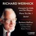 Richard Wernick : Musique de chambre. Haffner, Fulkerson, Orkis, Trevino.