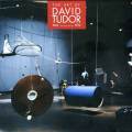 The Art of David Tudor 1963-1992.