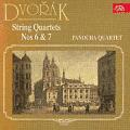 Antonin Dvorak : Musique de Chambre, volume 5