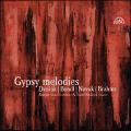 Gypsy melodies : Mlodies tziganes