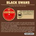 Black Swans. Les premiers interprtes afro-amricains de la musique classique.