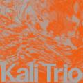 KALI Trio : The Playful Abstract. [Vinyle]
