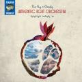 Authentic Light Orchestra : The Sky is Cloudy