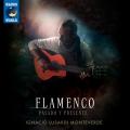 Ignacio Lusardi Monteverde : FLAMENCO - Pasado y Presente