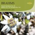 Brahms : Variations Haendel, Valses, Fantaisies. Dichter.
