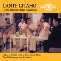 Paco del Gastor : Cante Gitano - Gypsy Flamenco from Andalucia