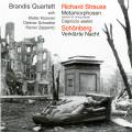 Arnold Schoenberg - Richard Strauss : Musique de chambre
