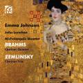 Brahms, Zemlinsky : Œuvres pour clarinette. Johnson, Lenehan, Quatuor Michelangelo.