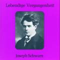 Lebendige Vergangenheit - Joseph Schwarz