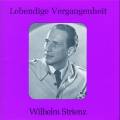 Lebendige Vergangenheit - Wilhelm Strienz