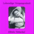 Lebendige Vergangenheit - Elfriede Trtschel