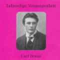 Lebendige Vergangenheit - Carl Braun