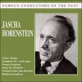 Jascha Horenstein : Gustav Mahler