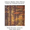 Brahms/Pfitzner : Klaviersonate D-Dur/Fis-Moll. Hornstein, Jakab.