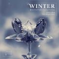 Winter - From First Frost to Carnival Festivity. Musique de la Renaissance. Ludwig, Ensemble La Ninfea.