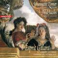 L'Esprit Galant : Musique franaise baroque pour soprano et thorbe. Zomer, Jacobs.
