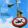 Florian Ross Trio : Big Fish Small Pond