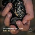 Ziv Ravitz and Lionel Loueke : Within this Stone.