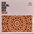 Jacob Karlzon & Rhani Krija : Mosaic.