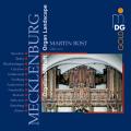 Organ Landscape: Mecklenburg. Martin Rost.