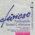 Furioso. Various.