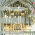 Liszt : uvres pour orgue, vol. 1. Schnheit.