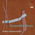 Steffen Schleiermacher : Musique pour ensemble. Ensemble Avantgarde.