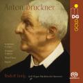 Bruckner: Early Orchestral Works arr. for Organ. Rudolf Innig.
