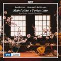 Beethoven, Hummel, Feliziano : uvres pour mandoline et pianoforte. Torge, Hambitzer.