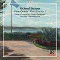 Strauss : Musique de chambre pour piano. Blumenthal, Dinglinger, Nys, Vay.