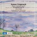 Anton Urspruch : Concerto pour piano, op. 9 - Symphonie, op. 14. Triendl, Fritzsch, Bosch.