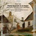 Hans Gl : Musique de chambre pour piano. Wallisch, Rohde.