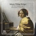 Johann Philipp Krieger : 12 sonates en trios, op. 2. Echo du Danube, Zincke.