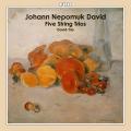 Johann Nepomuk David : Cinq trios à cordes. David-Trio.
