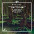Franck : Grande Pi�ce Symphonique. Widor : La nuit de Walpurgis. Schmitt, Gabel.
