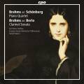 Brahms : Quatuor pour piano et sonate pour clarinette. Steffens, Raiskin.