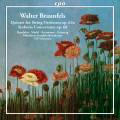 Walter Braunfels : uvres orchestrales. Raudales, Merkl, Reitmayer, Ostertag, Schirmer.