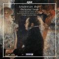 Schubert : Mlodies orchestrales (arr. M. Reger). Nylund, Mertens, Albert.