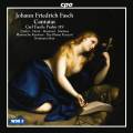 Johann Friedrich Fasch : Cantates. Zdori, Norin, Mammel, Mertens, Max.