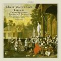 Johann Friedrich Fasch : Cantates. York, Mertens, Ad-El.