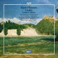 Hans Pfitzner : L'Intgrale des lieder. Kaufmann, Vermilion, Prgardien, Schmidt.