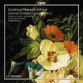 Gottfried Heinrich Stlzel : German Chamber Cantatas, Vol. 2