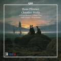 Hans Pfitzner : Musique de chambre. Wallin, Pntinen.