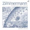 Zimmermann : Schatten der Ideen