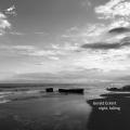 Gerald Eckert : Night, Falling. Zeller, Zllner, Wagner, Striepens, Ferrer-Orozco, Bartetzki, Eckert.
