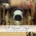 Loman J. : La harpe baroque