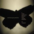 Charlemagne Palestine : A Sweet Quasimodo Between Black Vampire Butterflies for Maybeck. Palestine.