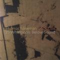 Thomas Newman and Rick Cox : 35 Whirlpools Below Sound. Newman, Cox, Elmassian.